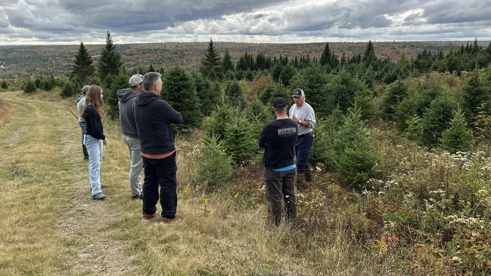 Northeastern Christmas Tree Association