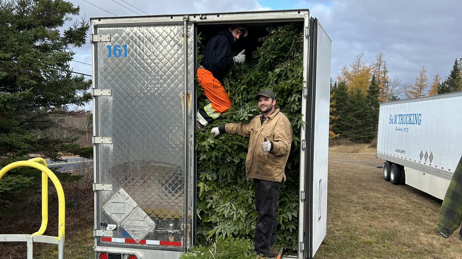 Northeastern Christmas Tree Association