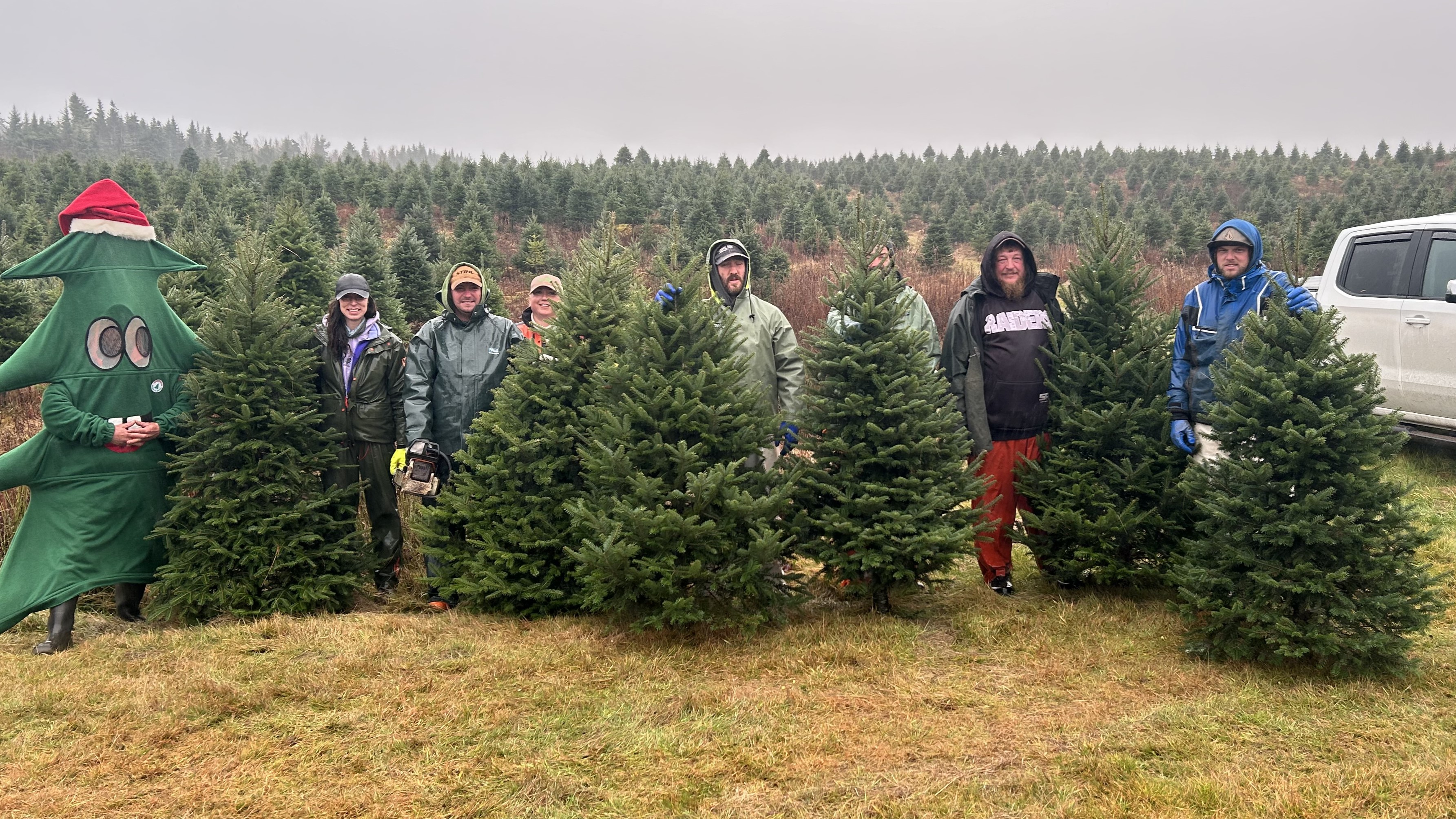 Northeastern Christmas Tree Association